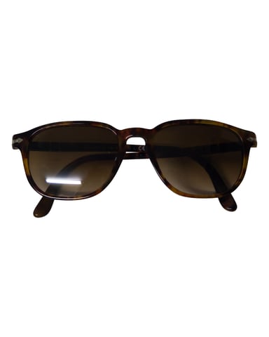 Ray-Ban Polarized Sunglasses in Brown and Black Acetate