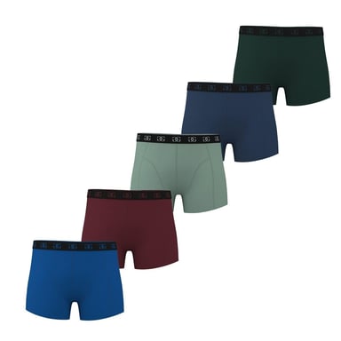 Giorgio Boys Boxer Briefs (Pack of 5) (Black/Blue/Red/Grey)