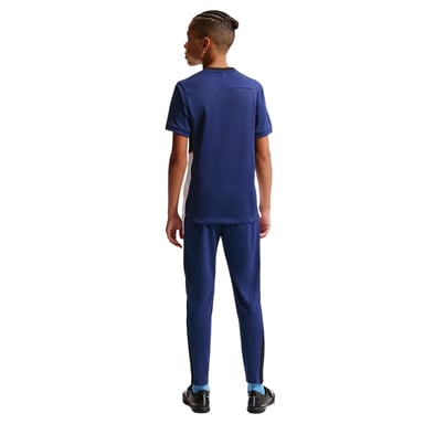 Nike Childrens/Kids Academy Swoosh Top (Blue/Pink)