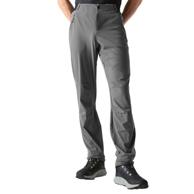 Dare 2B Mens Torrek Lite Walking Trousers (Magnet)