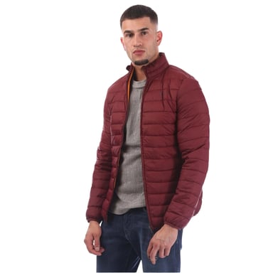 Aquascutum Mens Puffer Jacket (Bordeaux)