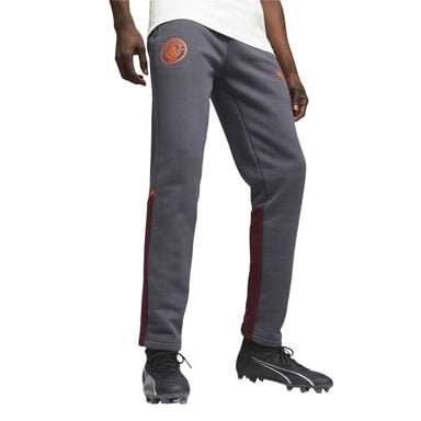 Puma Mens Casuals Manchester City FC Tracksuit Bottoms (Grey)