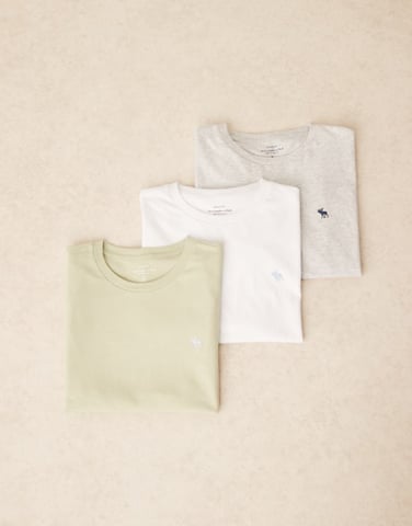 Abercrombie & Fitch 3 pack short sleeve icon logo t-shirts in multi