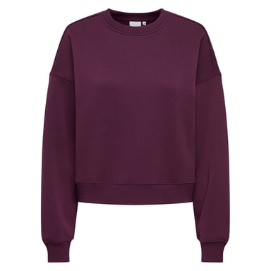 Only Sweatshirt