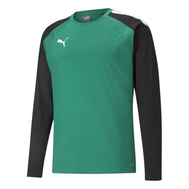 Puma Mens TeamLIGA Long-Sleeved T-Shirt (Green/Black)