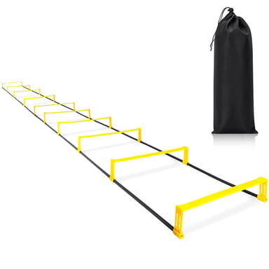 Behendigheidsladder