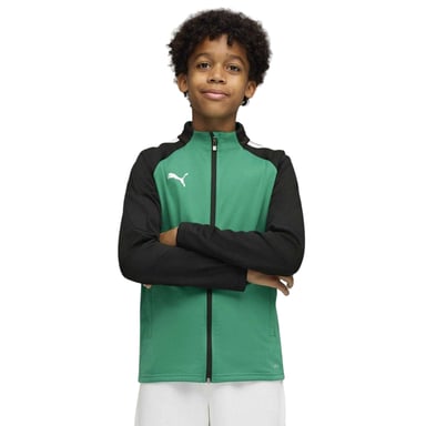 Puma Childrens/Kids Team Liga Training Tracksuit Top (Green)