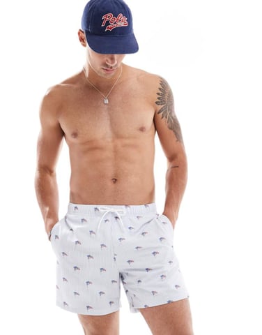 Hollister printed american flag swimwear shorts in light blue