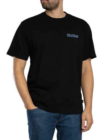 Dickies Fairland Back Graphic T-Shirt, Black
