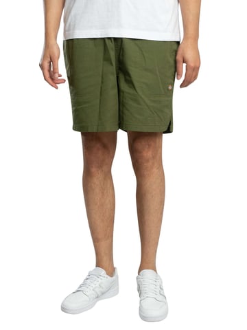 Dickies Pelican Rapids Sweat Shorts, Green