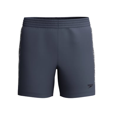 Speedo Mannen Hyperboom Splice Stripes Zwembaden (Grijs)