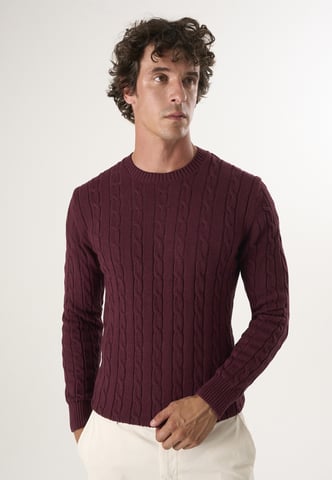Pullover Crew Neck Pullover