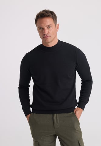 Pullover Half Turtleneck Sweater