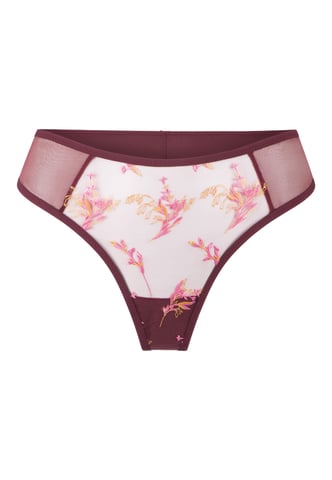 Lingadore String