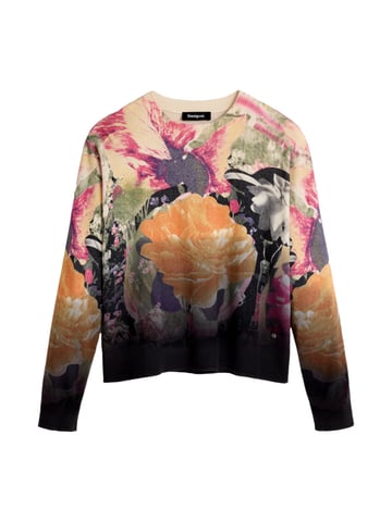 Desigual Pullover