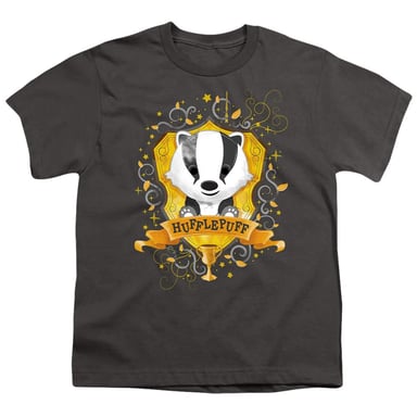 Harry Potter Childrens/Kids Hufflepuff Watercolour T-Shirt (Charcoal)