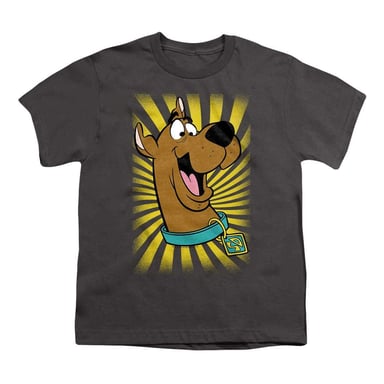 Scooby Doo Childrens/Kids Big Head T-Shirt (Charcoal)