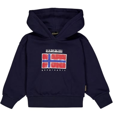 Napapijri Childrens/Kids Sella Flag Hoodie (Marine Blue)