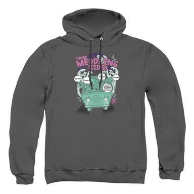 Scooby Doo Unisex Adult Meddling Since 1969 Hoodie (Charcoal)
