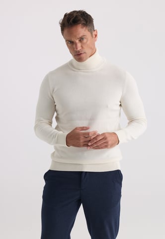 Pullover Turtleneck Pullover