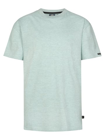 Petrol Industries - Striped T-Shirt Tequila Boys - Green