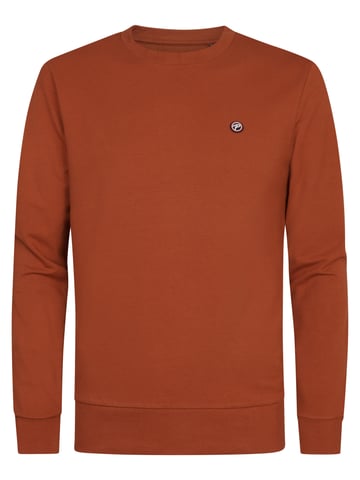 Petrol Industries - Logo Sweater Seaviewpark Men - Orange