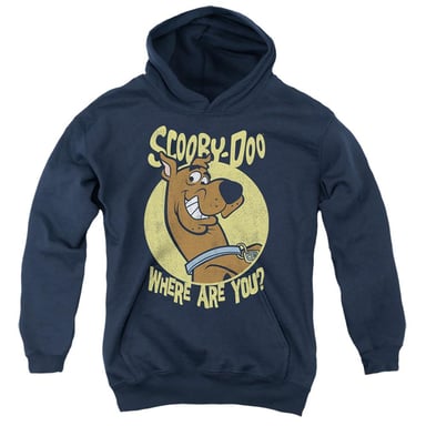 Scooby Doo Childrens/Kids Where Are You Hoodie (Navy)