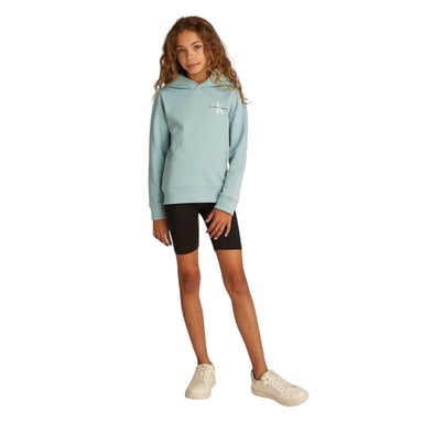 Calvin Klein Childrens/Kids Cotton Pullover Hoodie (Green)