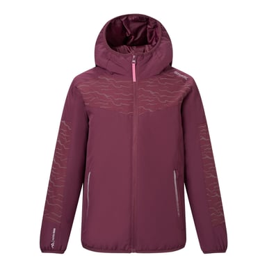 Regatta Childrens/Kids Illuma Reflective Waterproof Insulated Jacket (Fig)