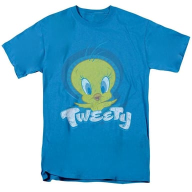 Looney Tunes Unisex Adult Tweety Swirl T-Shirt (Turquoise)