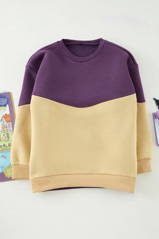 TRENDYOLKIDS Boys Purple Color block Long Regular fit Sweatshirts
