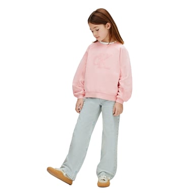 Calvin Klein Childrens/Kids Relaxed Fit Sweatshirt (Pink)