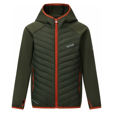 Regatta Childrens/Kids Andreson Hybrid Padded Jacket (Dark Khaki)