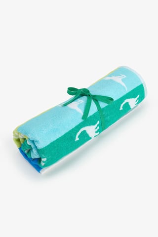 Boys Dinosaur Towel