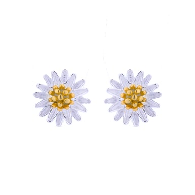 Luxenter earrings finished in rhodium - Aluth