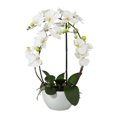 Kopu ® artificial orchid 52 cm – in ceramic pot phalaenopsis