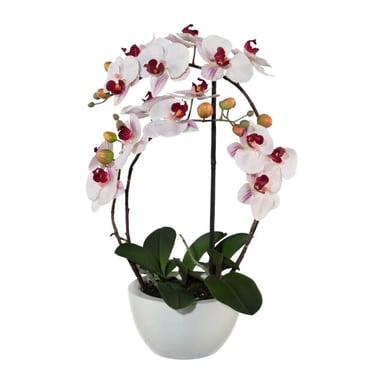 Kopu ® artificial orchid 52 cm - white ceramic pot phalaenopsis
