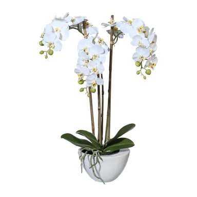 Kopu ® artificial orchid 51 cm – in bowl phalaenopsis