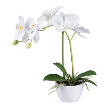Kopu ® artificial orchid 33 cm set of 2 - potted phalaenopsis