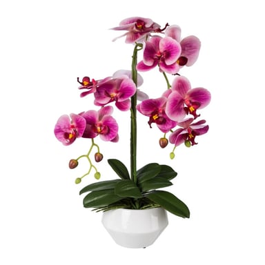 Kopu ® artificial orchid 52 cm – white pot phalaenopsis