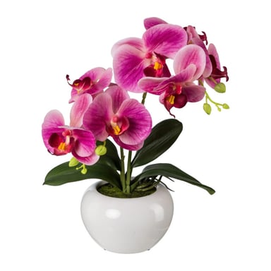 Kopu ® artificial orchid 35 cm – white pot phalaenopsis