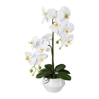 Kopu ® artificial orchid 52 cm – in ceramic pot phalaenopsis