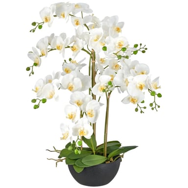 Kopu ® artificial orchid 80 cm - black bowl phalaenopsis