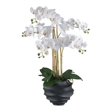 Kopu ® artificial orchid 70 cm - 5 stems black pot Phalaenopsis