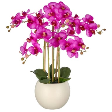 Kopu ® artificial orchid 65 cm – cream-coloured pot phalaenopsis