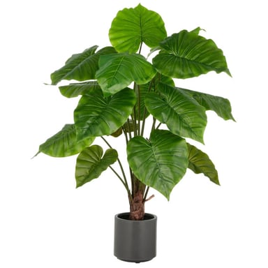 Kopu ® kunstplant alocasia 100 cm grijze pot olifantsoor