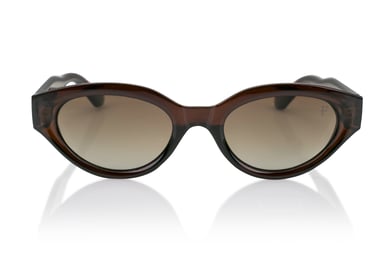 Isabella Ford BROWN Sunglasses