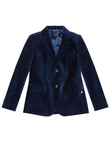 Blazer Lion