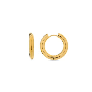 Luxenter Amyck earrings finished in 18k yellow gold