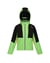 Bos Groen